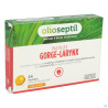 Ineldea Olioseptil Pastilles Gorge-Larynx Miel Citron X 24