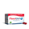 Flexofytol® 60 Capsules