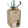 Le Comptoir Aroma Coffret Galet Senteur Diffuseur De Parfum