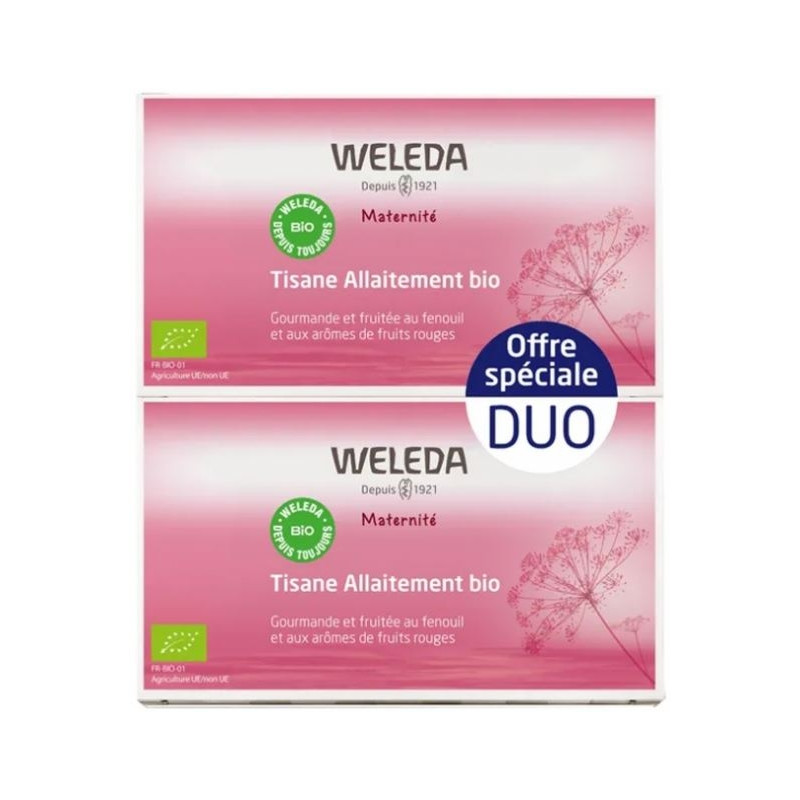Maternité Tisane Allaitement Fruits Rouges Bio Lot de 2 x 20 Sachets Maternité Tisane Allaitement Fruits Rouges Bio Lot de 2 x 20 Sachets