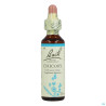 Fleurs De Bach Original 08 Chicory Compte Gouttes 20ml