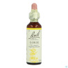Fleurs De Bach Original 13 Gorse Compte Gouttes 20ml