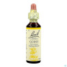 Fleurs De Bach Original 13 Gorse Compte Gouttes 20ml