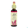 Fleurs De Bach Original 24 Pine Compte Gouttes 20ml