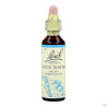 Fleurs De Bach Original 27 Rock Water Compte Gouttes 20ml