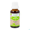 Herbalgem Cassis Bourgeon Macerat Glyceri Bio 30ml