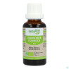 Herbalgem Framboisier Bourgeon Macerat Gl Bio 30ml
