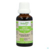 Herbalgem Airelle Jp Bourgeon Macerat Gly Bio 30ml