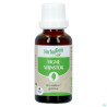 Herbalgem Vigne Bourgeon Macerat Glycerin Bio 30ml