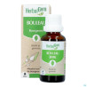 Herbalgem Bouleau Sirop Bourgeon Macer Gl Bio 30ml