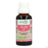 Sinugem Gc15 Voies Respiratoires Bio 30ml