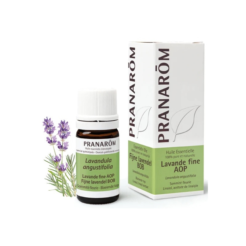 Pranarôm Huile Essentielle Lavande Fine AOP 5ml Pranarôm Huile Essentielle Lavande Fine AOP 5ml