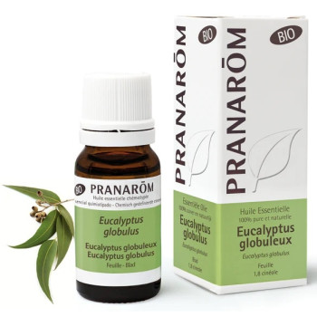 Pranarôm Huile Essentielle Eucalyptus Globuleux Bio 10ml