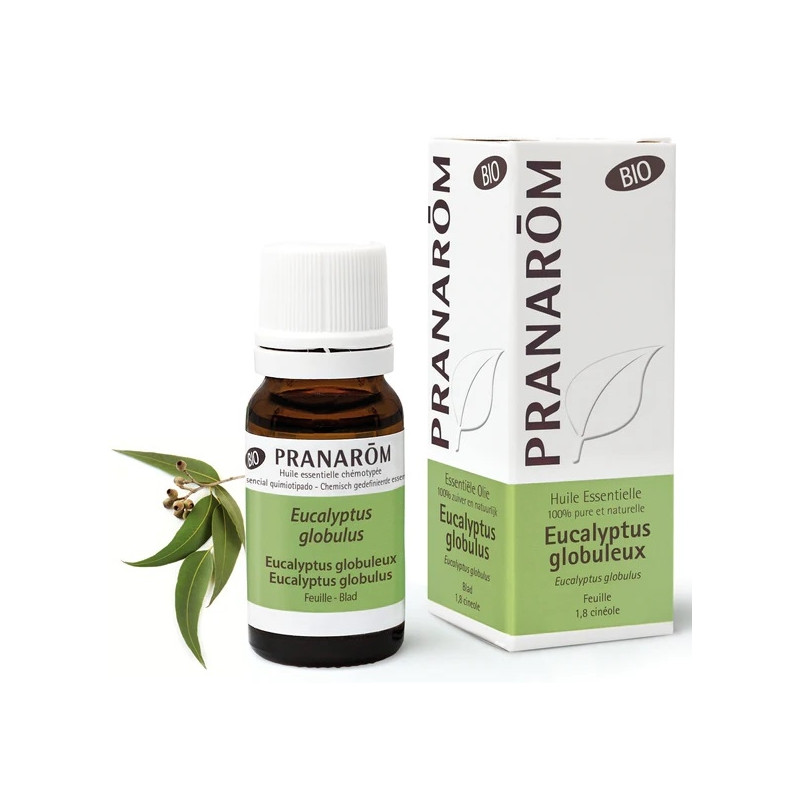 Pranarôm Huile Essentielle Eucalyptus Globuleux Bio 10ml Pranarôm Huile Essentielle Eucalyptus Globuleux Bio 10ml