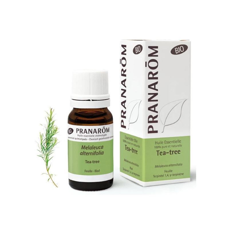 Pranarôm Huile essentielle Tea Tree Bio 10ml Pranarôm Huile essentielle Tea Tree Bio 10ml