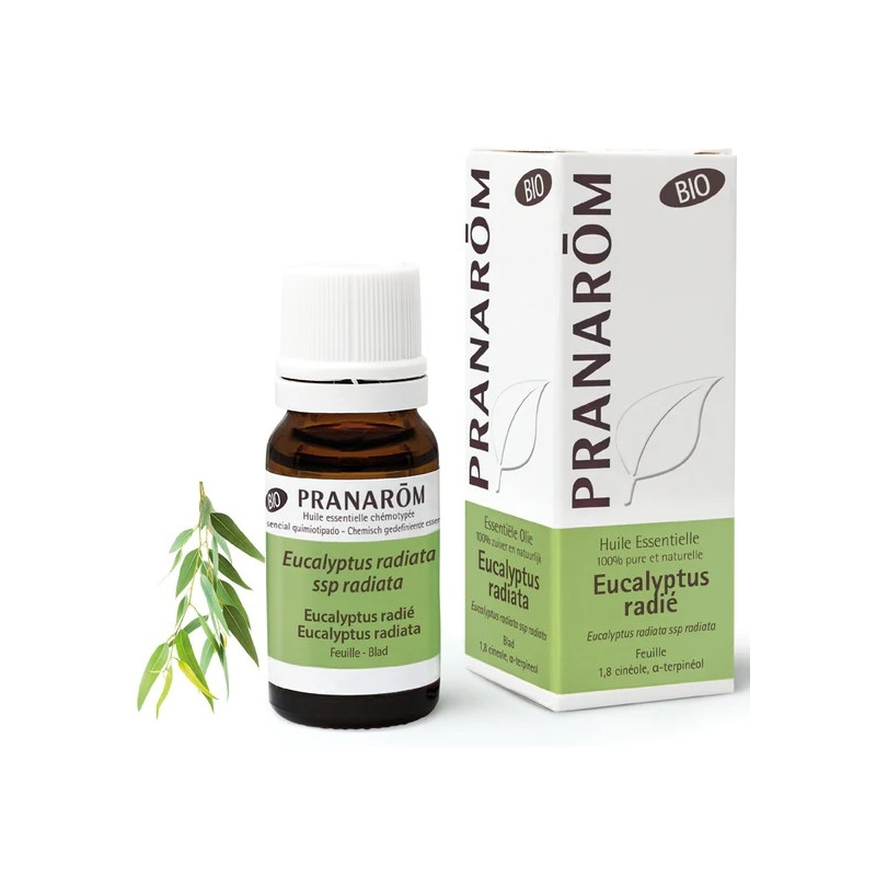 Pranarôm Huile essentielle Eucalyptus Radié Bio 10ml Pranarôm Huile essentielle Eucalyptus Radié Bio 10ml