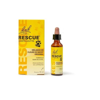 Rescue - Bach Pets...