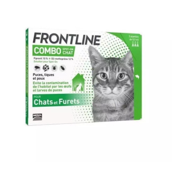 Frontline Combo chat 3...