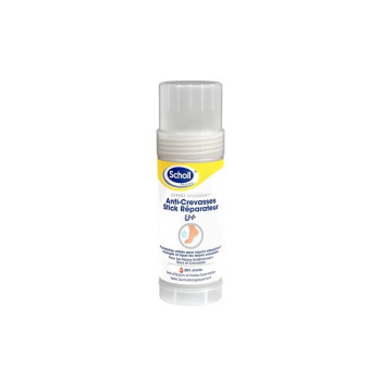 Scholl stick anti crevasses...