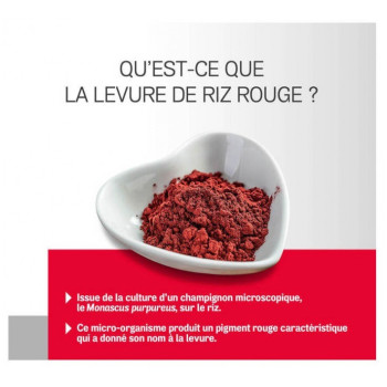 Arterin Levure de Riz Rouge...
