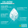 Collagène Goût Citron - 30 Sticks