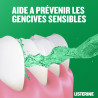 Listerine Bain de Bouche Total Care Dents et Gencives 10en1 Menthe Fraiche 500ml