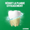 Listerine Bain de Bouche Total Care Dents et Gencives 10en1 Menthe Fraiche 500ml