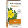 Arkopharma Arkogélules Tribulus 45 gélules