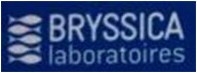 BRYSSICA